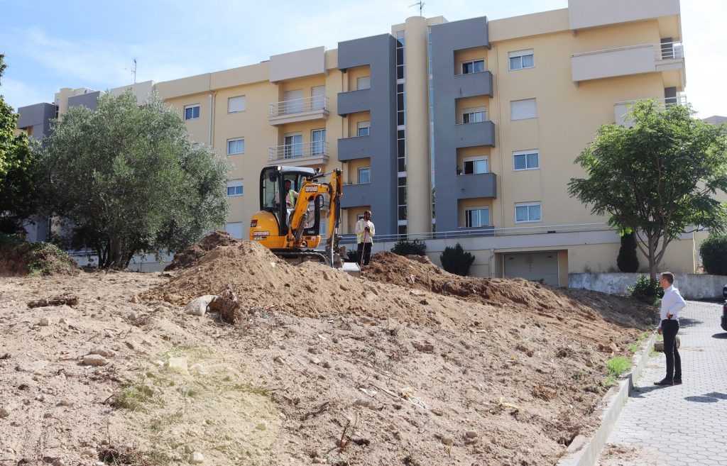  Lamego vai ter mais árvores no centro da cidade