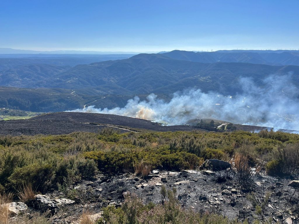  Distrito de Viseu com 121 incêndios rurais nos primeiros seis meses do ano