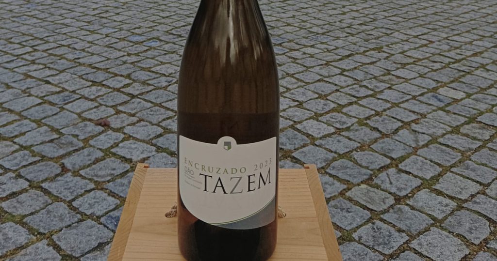  Adega de Vila Nova de Tazem apresenta novo vinho