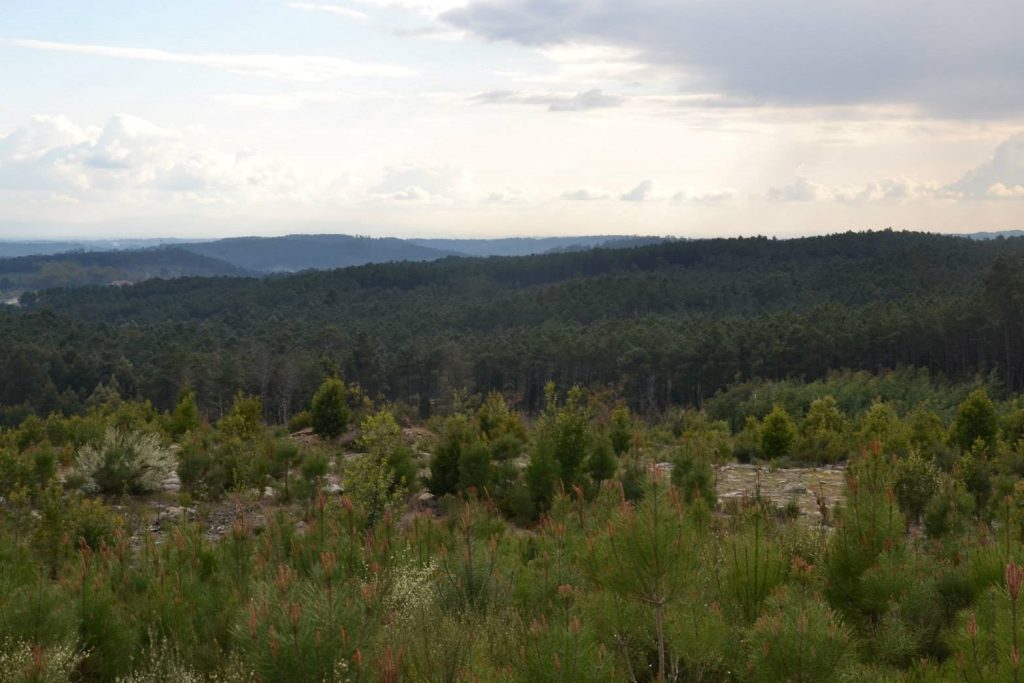  Serra do Crasto está a ser abandonada, diz Bloco de Esquerda