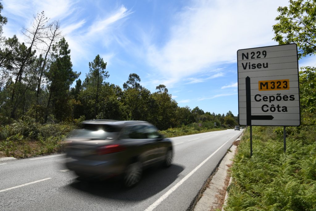  Obras na Nacional 229 com concurso público aberto