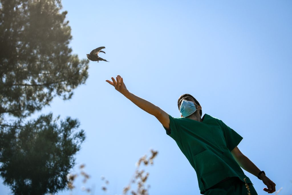  Em Gouveia, há um centro que recupera espécies selvagens. Tudo para regressarem à natureza