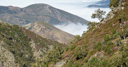 Serra de São Macário rota da cabra e do lobo são pedro do sul