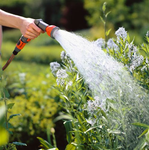 Regar plantas água seca rega