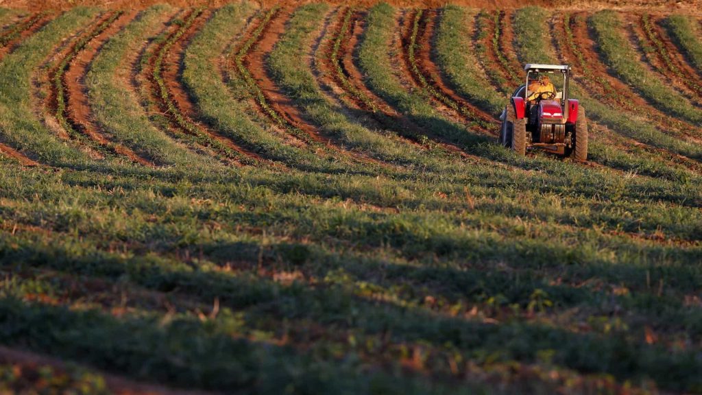  Agricultores alertam para roubos de cobre. Em Viseu registaram-se seis casos