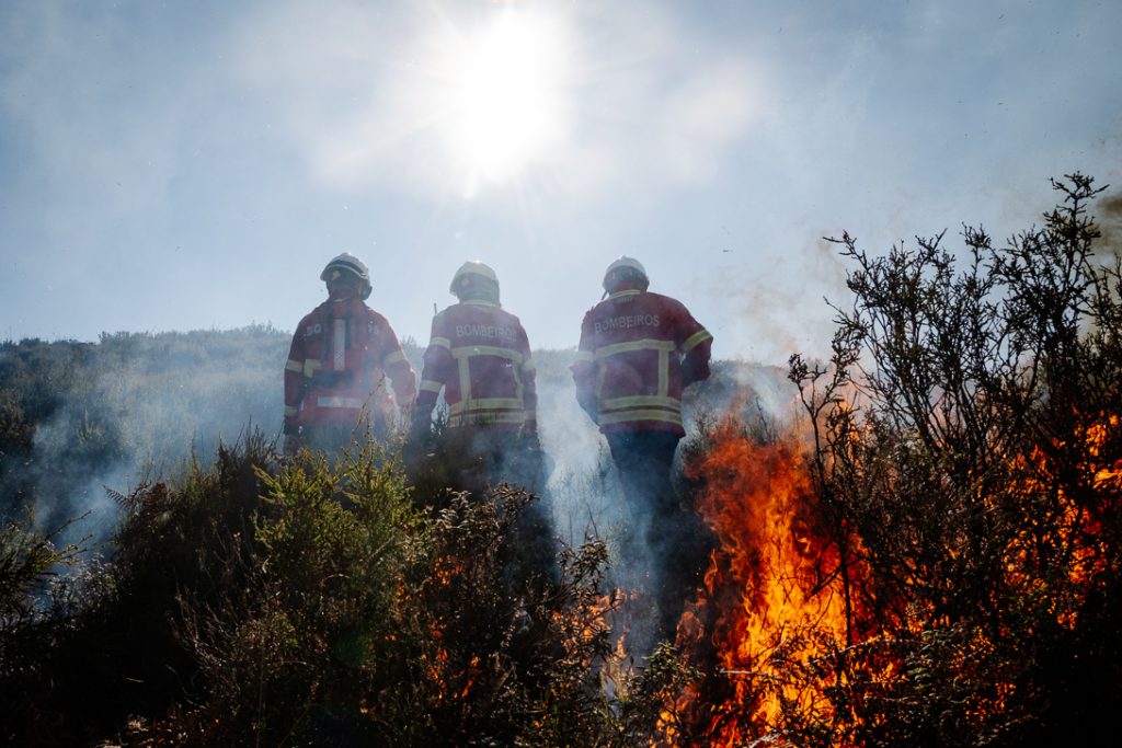  Incêndios: retirados habitantes da aldeia de Cabrum, em Viseu