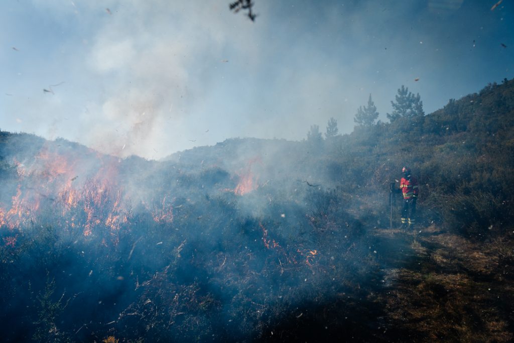  Incêndios: São Pedro do Sul com situação “mais favorável” no combate às chamas