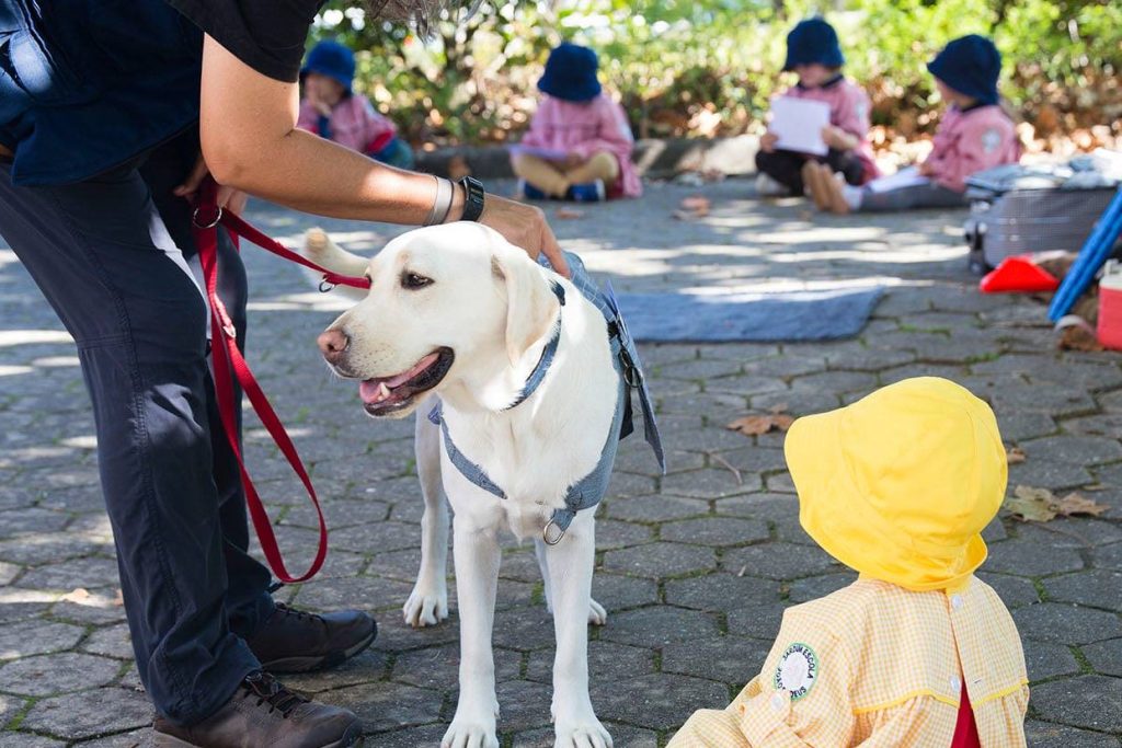  Projeto "Vai CãoMigo" leva intervenções assistidas por cães a crianças e jovens de Mortágua