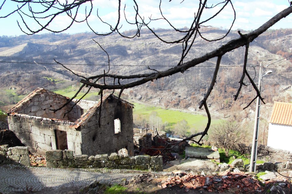  Incêndios de outubro de 2017: sete anos da tragédia que devastou Portugal