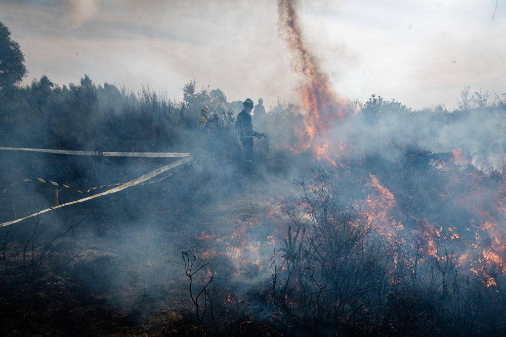  Número de incêndios no distrito de Viseu com o registo mais baixo da última década