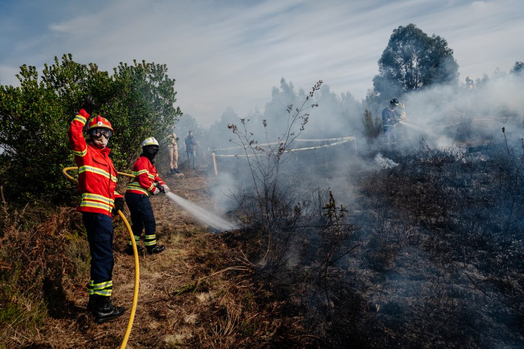  Distrito de Viseu: agosto com menos incêndios e menos área ardida