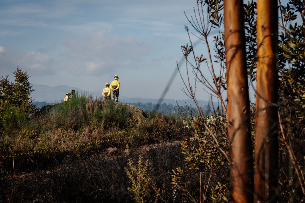  Proteção Civil alerta para perigo de incêndio no interior Norte e Centro