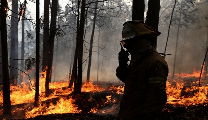  Incêndios em Aguiar da Beira e Castro Daire estão dominados, informou proteção civil