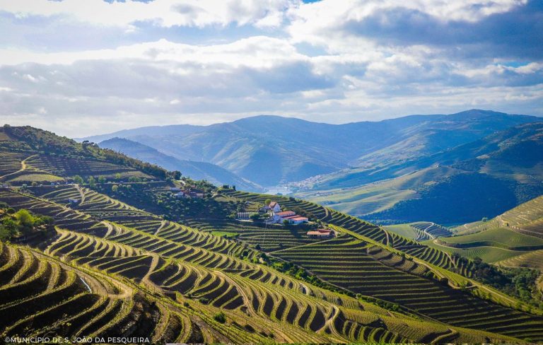 pesqueira_douro_paisagem