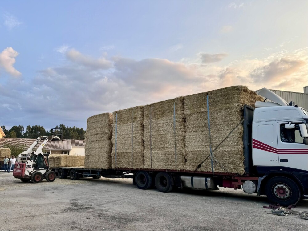  Câmara de Nelas avança com projeto de apoio ao investimento na agricultura