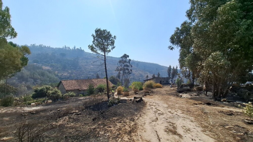  Incêndios: Fogo de Nelas em resolução