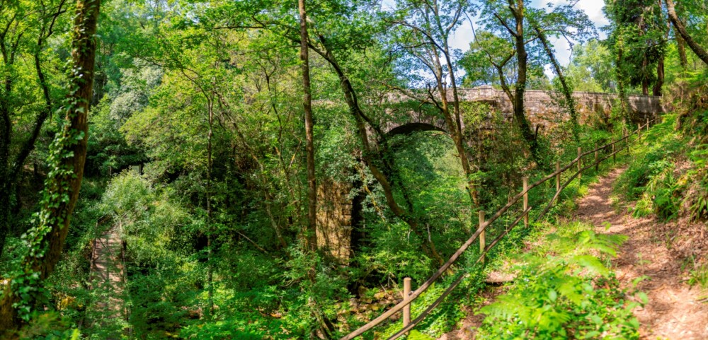  Plano municipal de ação climática de Oliveira de Frades em discussão pública