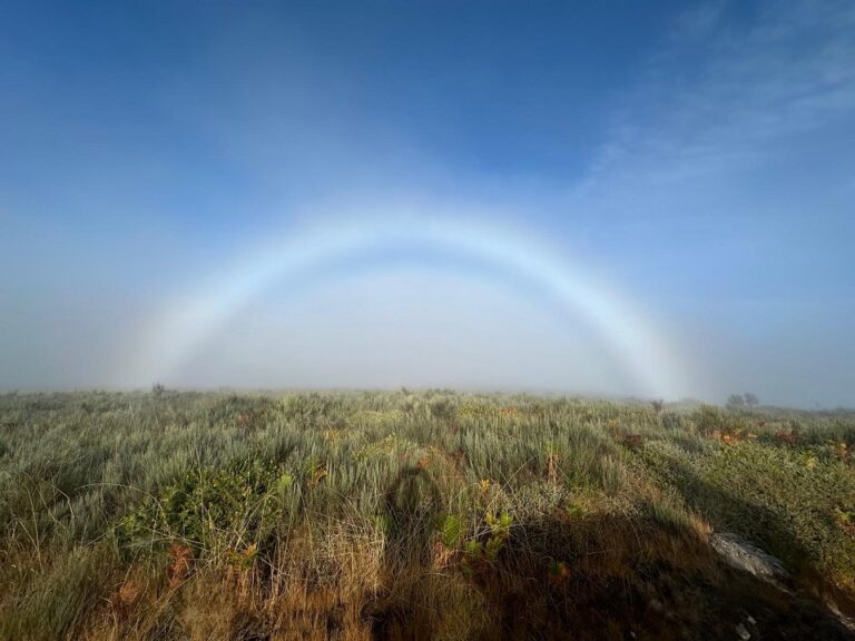 ARCO IRIS BRANCO