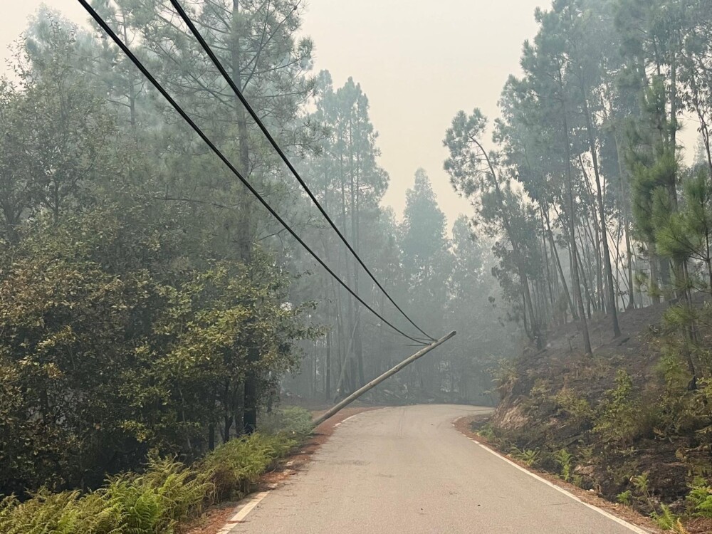  Incêndios: Municípios defendem nova carta de perigosidade e vigilância das florestas pelo Exército