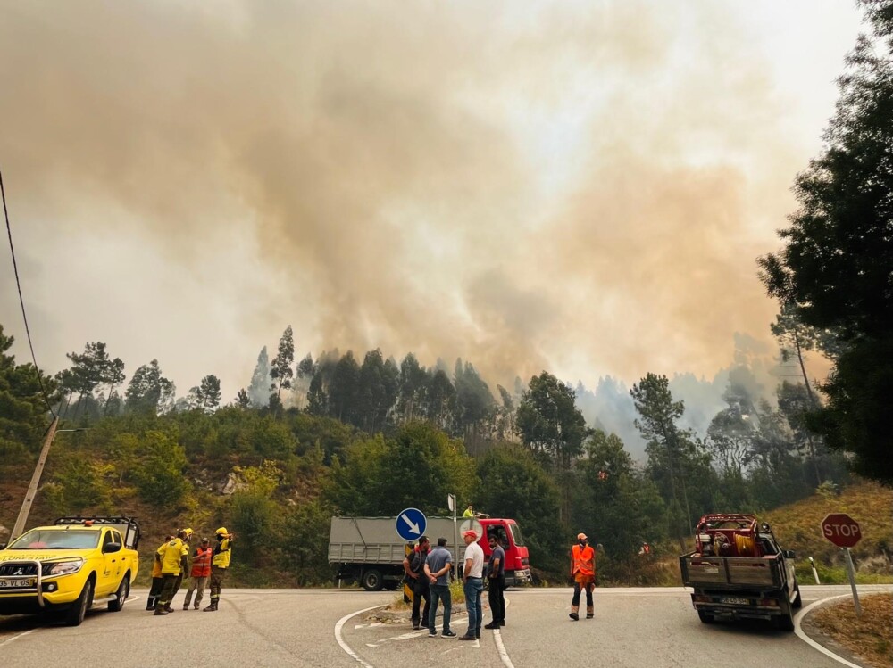  Incêndios: De Castro Daire a São Pedro do Sul o fogo só não levou a força de quem lá mora