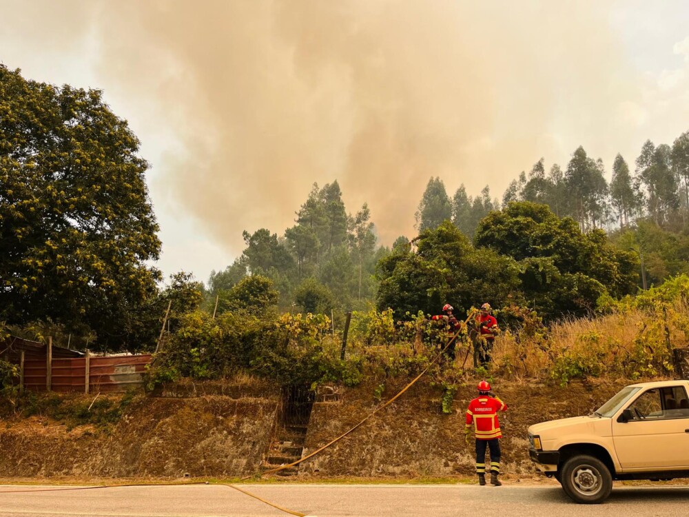  Incêndios: De Castro Daire a São Pedro do Sul o fogo só não levou a força de quem lá mora