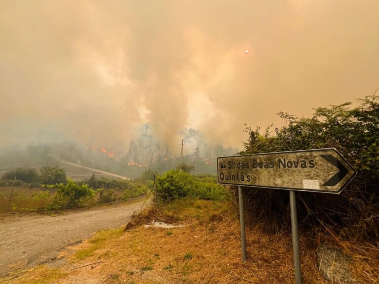 INCENDIOS CASTRO DAIRE E SÃO PEDRO DO SUL 5