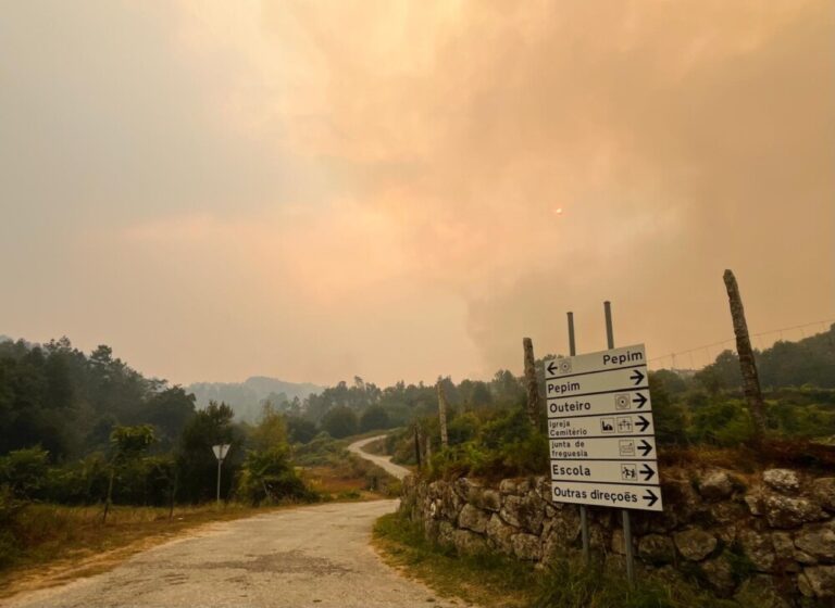 INCENDIOS CASTRO DAIRE E SÃO PEDRO DO SUL 9