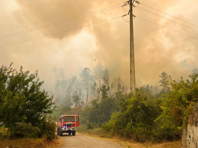 Incêndio Castro Daire