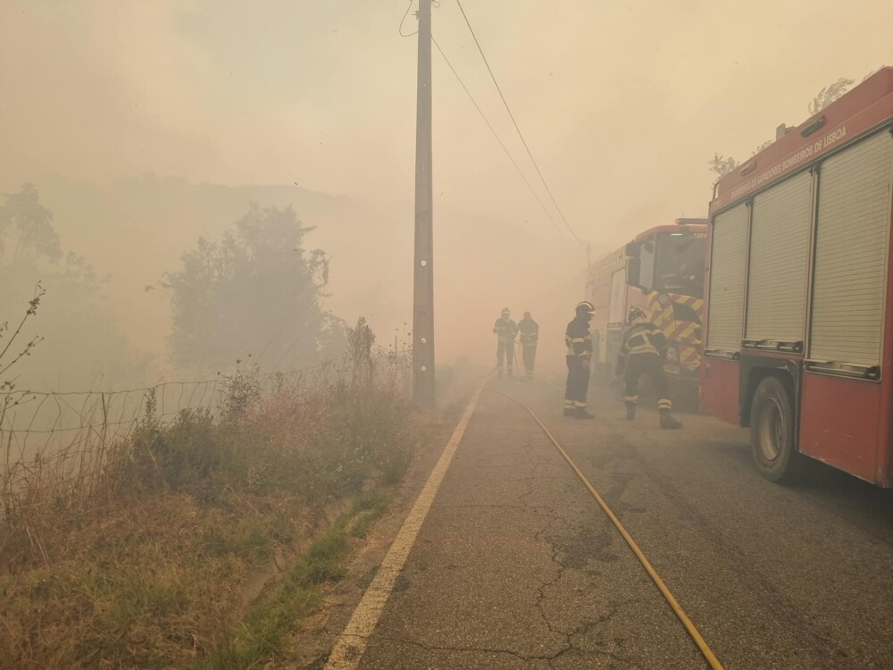  Incêndios: Empresas agrícolas e casas destruídas em Mangualde