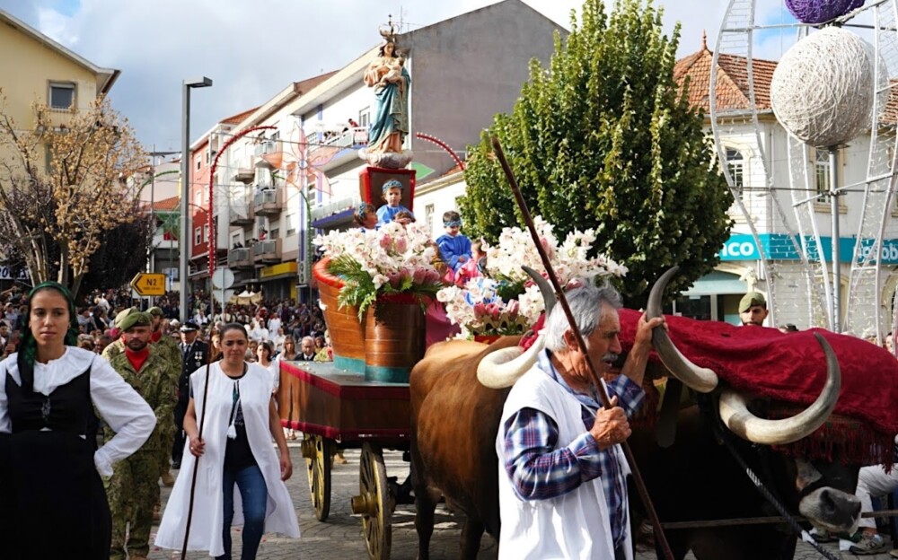  Majestosa Procissão de Triunfo esta tarde nas ruas de Lamego