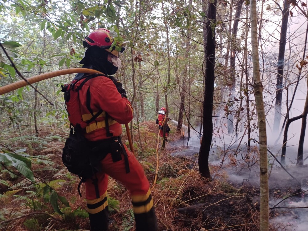  Incêndios: Vieram de Espanha para combater as chamas e acabaram a agradecer à população