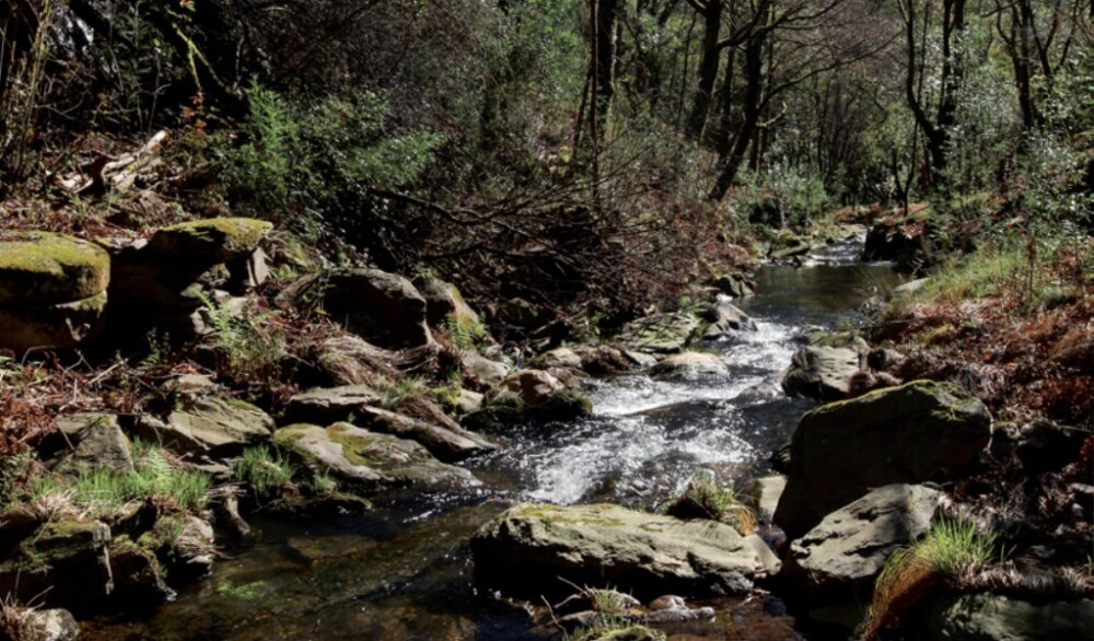  Mortágua: o paraíso para quem gosta de andar a pé