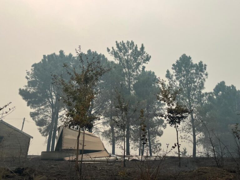 incêndios estrutura casa destruída