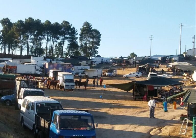 feira são francisco moimenta