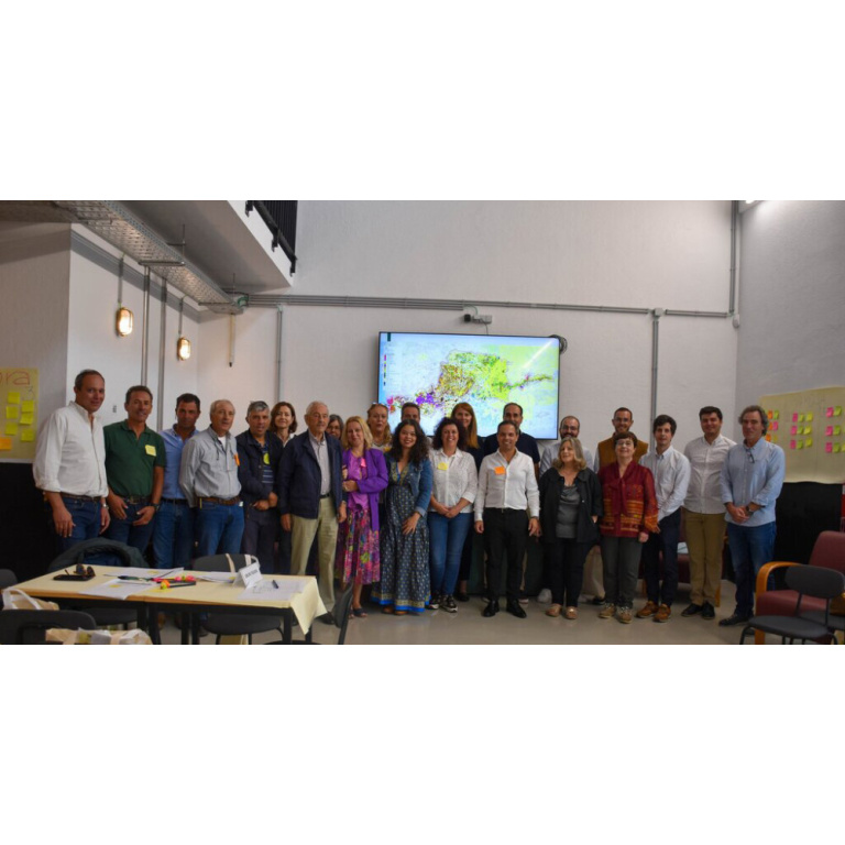 moimenta da beira focus group