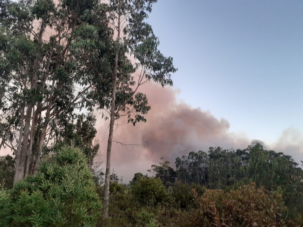  Homem detido por provocar incêndio florestal em Resende