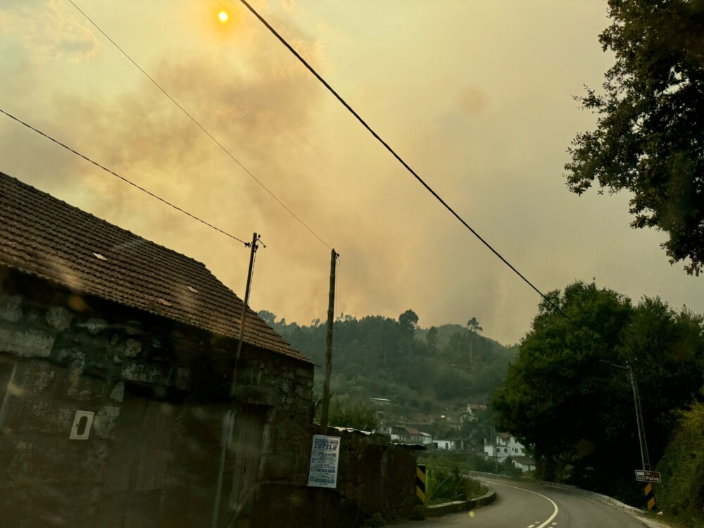  Incêndios: Agricultores de Cinfães declaram prejuízos de 277 mil euros