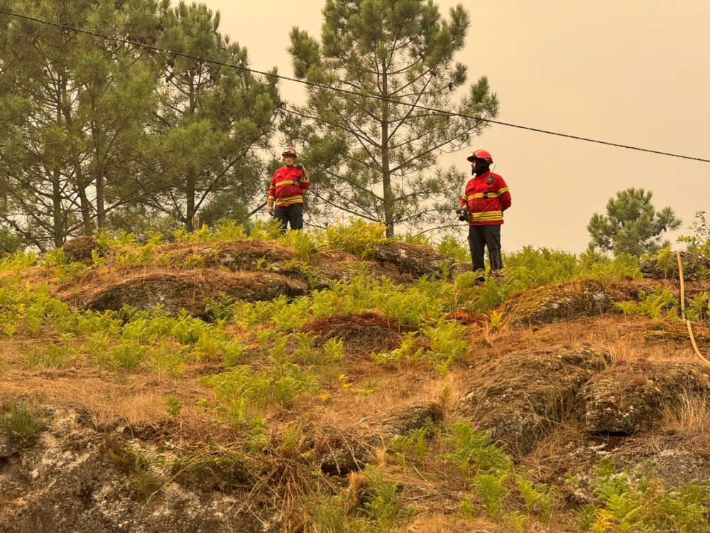  Na rua, contra os incêndios, abandono da floresta e eucaliptos