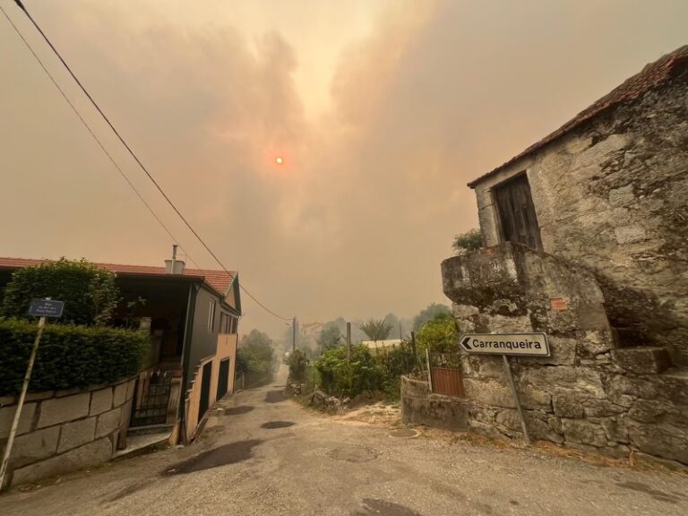 incêndios castro daire