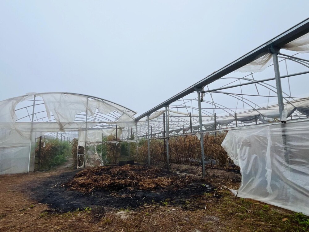  Isenção das taxas municipais em Castro Daire para reconstrução de edifícios afetados pelos incêndios