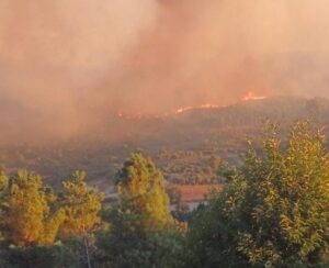  Incêndios: Chamas destruíram oito mil hectares em Penalva do Castelo