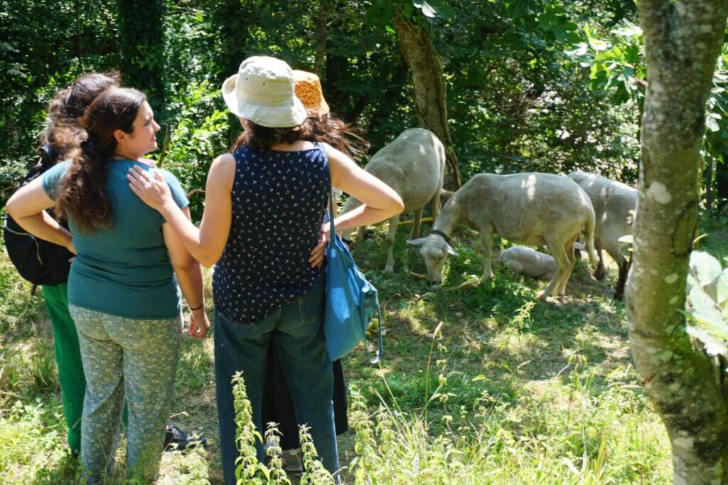  UMAR apresenta manifesto das mulheres rurais do interior em S. Pedro do Sul