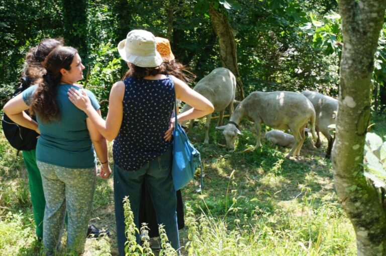 mulheres agricultoras foto facebook