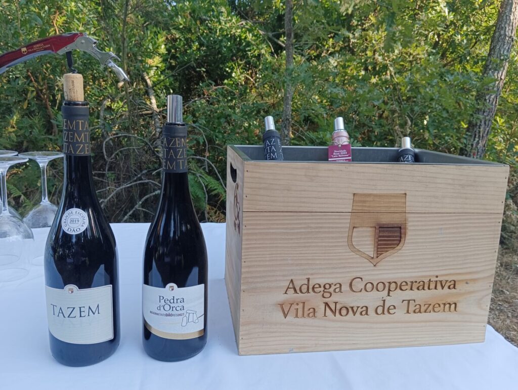  Adega de Vila Nova de Tazem apresenta novos vinhos em dia aberto