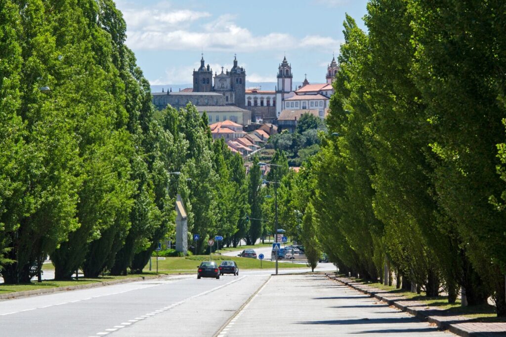  Terreno junto ao Túnel de Viriato (Viseu) em hasta pública