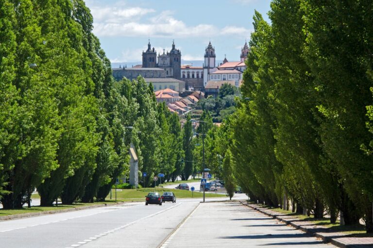 avenida da europa zona norte de viseu