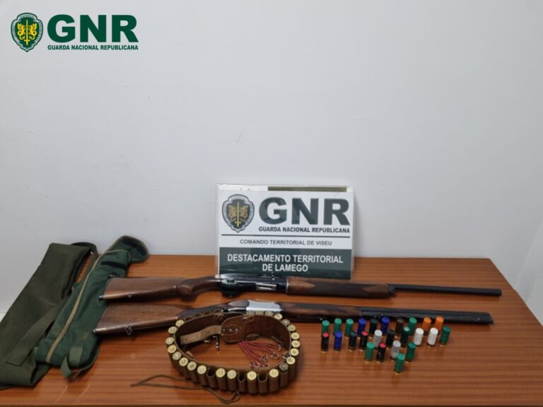 GNR Viseu - Apreensão 1