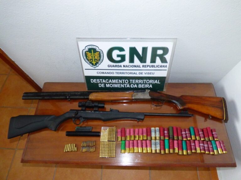 gnr apreensão arma moimenta da beira