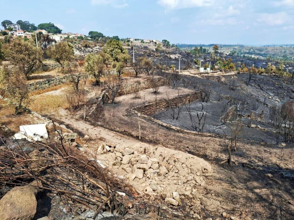  Clube de Caça e Pesca de Nelas recupera área consumida pelos incêndios