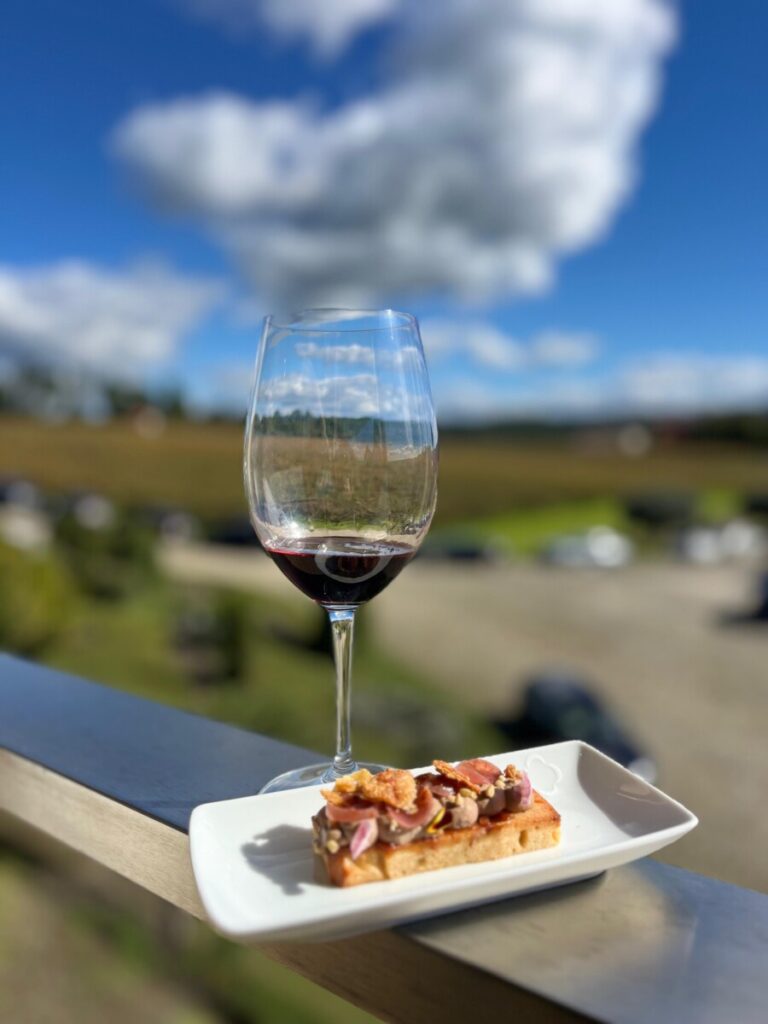  Seis novos vinhos e seis chefes na Quinta de Lemos para celebrar o Dão